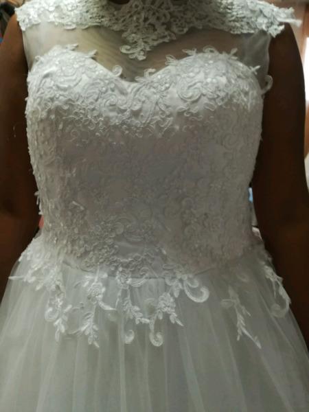 Plus size lace gowns for Hire