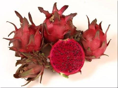 Our New Dragon Fruit Varity 