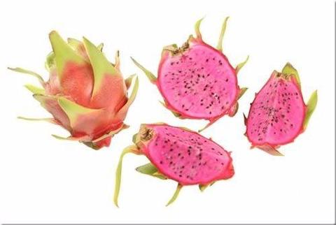 Our New Dragon Fruit Varity Dark Star is now for sale