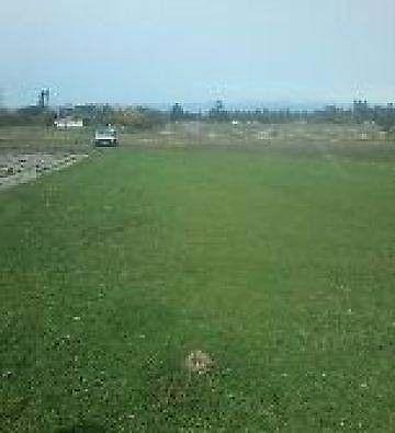 ROLL ON LAWN KIKUYU GRASS STRAIGHT FROM THE FARM FRESHLY CUT