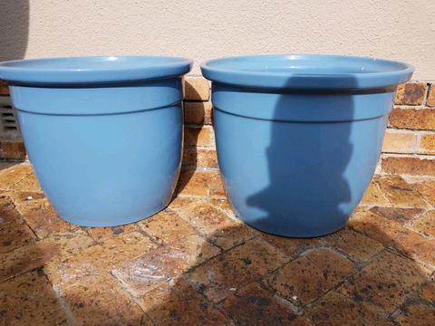2 large ceramic indoor pot plants