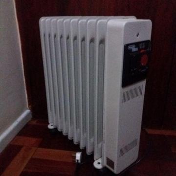 DeLonghi 10rib heater