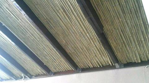 Wood and bamboo fencing and ceiling and pargola