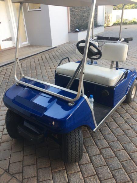 Golf cart-petrol