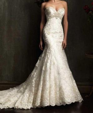 Lace Wedding Dress - Trumpet Silhouette! (WT011)