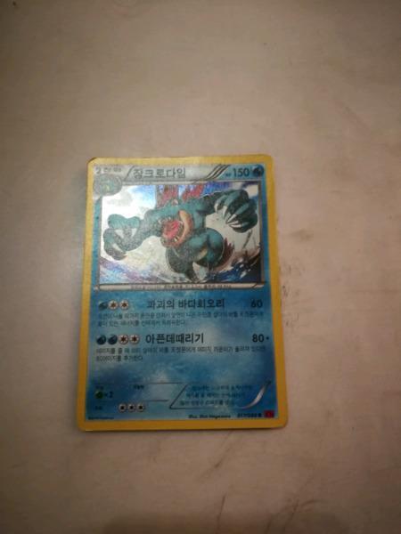 Korean holo feraligatr