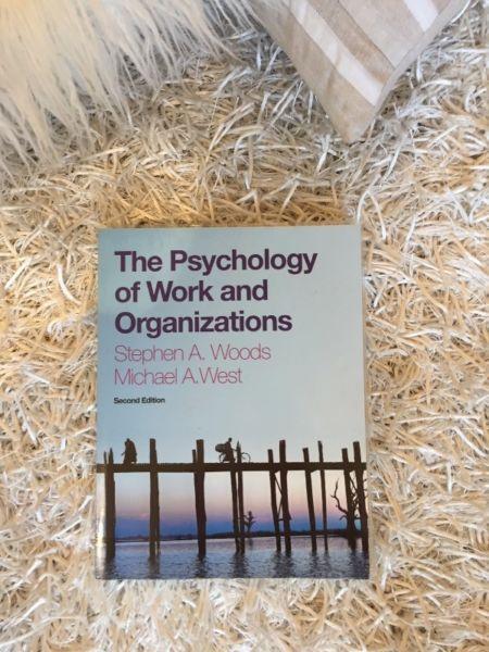 THE PSYCHOLOGY of WORK and ORGANIZATIONS - IN EXCELLENT CONDITION