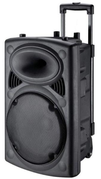 Mese 12 inch Professional PA System Trolley Speaker S 12D