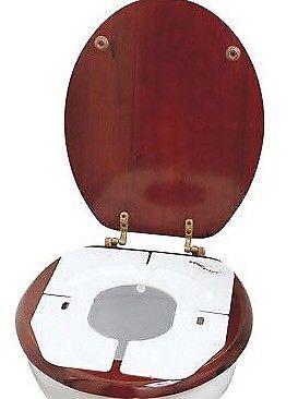 Toilet Seat For Toddlers (fold away)