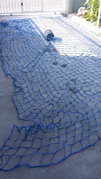 Swimming pool net