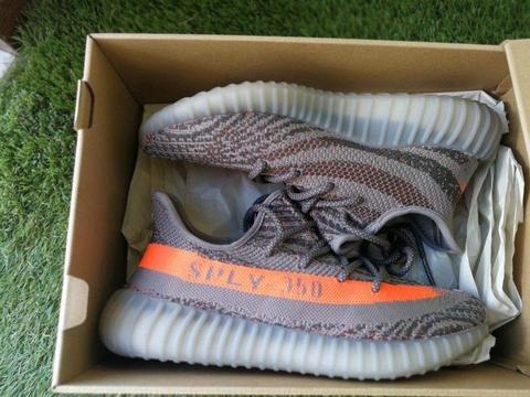 Adidas Yeezy Beluga