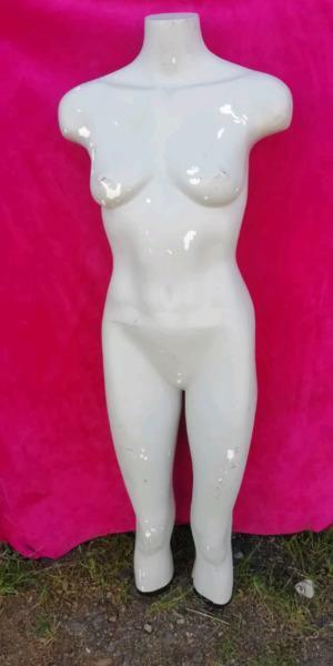 Manequin torso