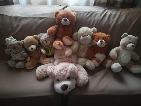 Various Teddy Bears