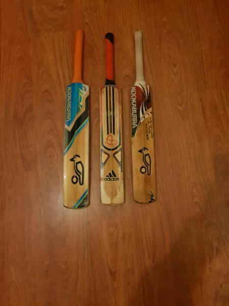 Full cricket set for sale with 3 great bats