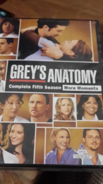 Greys anatomy tv series, season 5