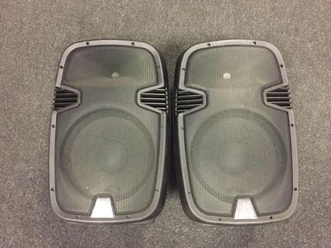Hybrid Pm-12 speaker pair