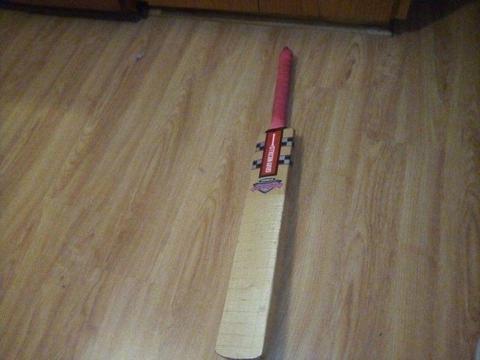 Gray-Nicolls Cricket Bad