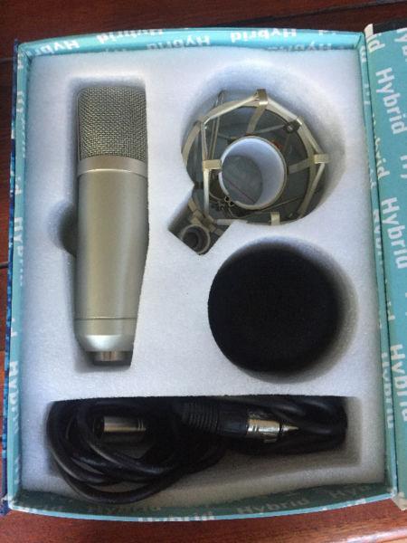 Hybrid C1 Condenser Studio Microphones