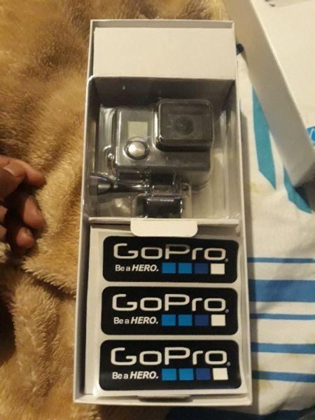 GoPro Hero +