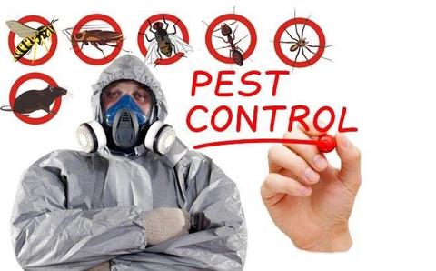 A Full Spectrum of Pest Solutions - Eastern Cape