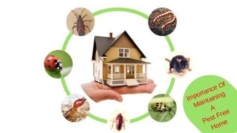 General Pest Environmental Solutions in Eastern Cape