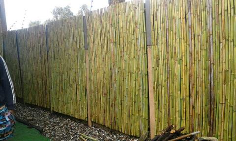 Wood and bamboo fencing and ceiling and pargola
