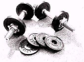 Game Store dumbbells for sale in Pmb 10kg (R120) new