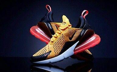 Ladies and Guys Airmax 270