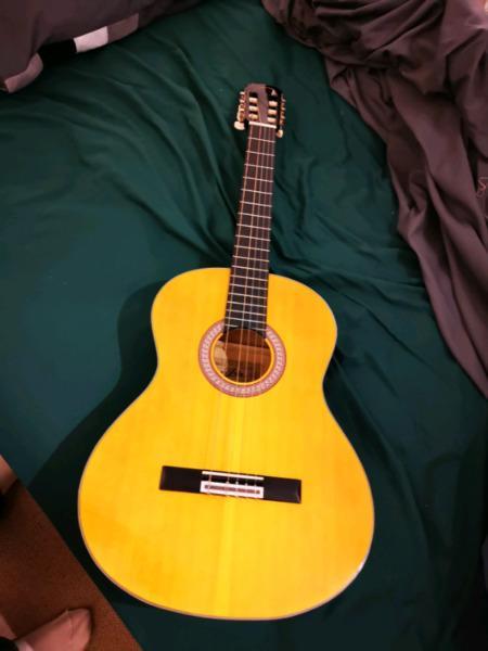 Aria AK20 Acoustic Guitar