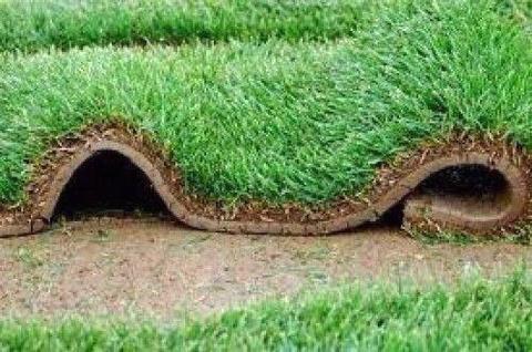 For quality, fresh and green roll-on lawn grass and pebble professiona