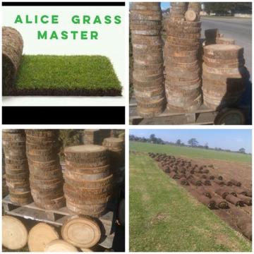 We are selling Kikuyu grass 13r a roll call Alice on 0642779712