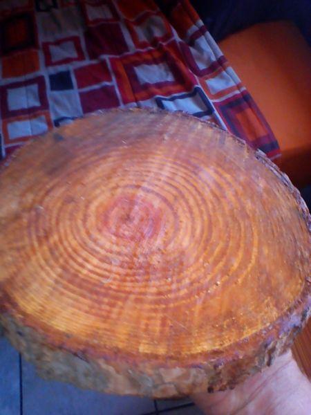 wood slices/discs for sale