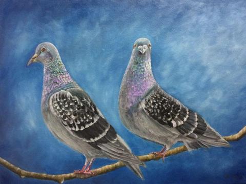 Pigeons painting