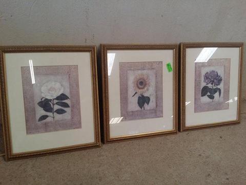 3 x Botanical Pictures in Gold Frames - Great Condition R250