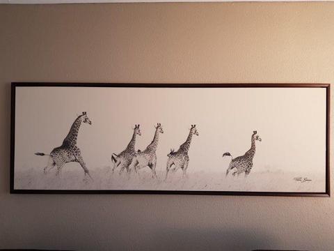 Canvas Giraffe Picture