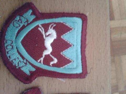 Pelham Primary School Badge