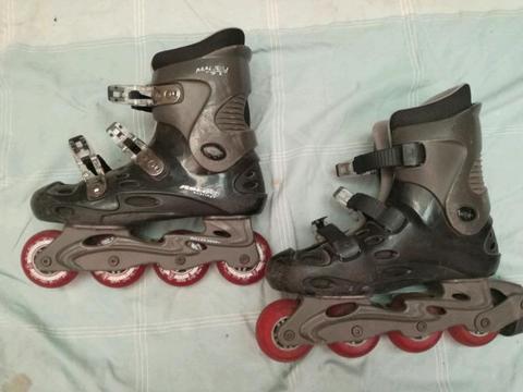 Roller blades