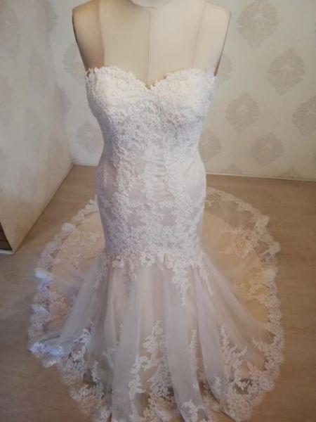 Beautiful champagne and ivory fit and flare dress