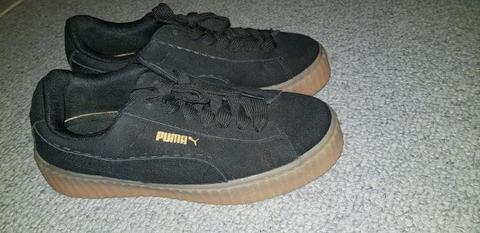 Puma creepers for sale