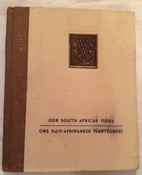 Our South African Flora by R H Compton