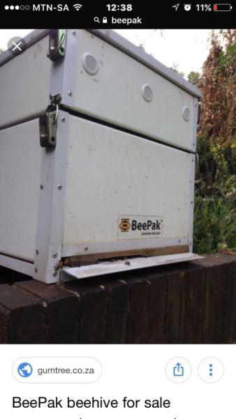 Beepak beehive with established swarm