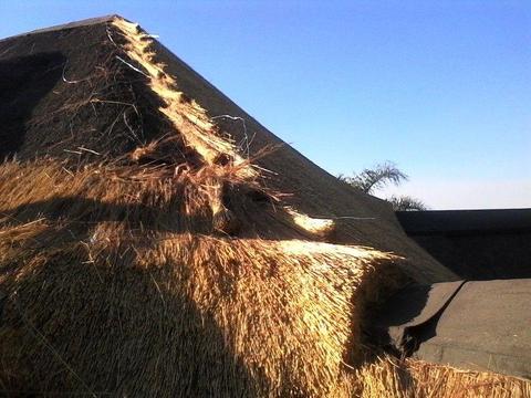 Renampho thatching projects