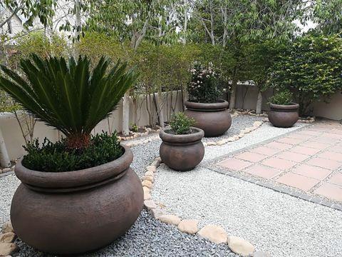 Beautiful Pot Plants and Cement Products