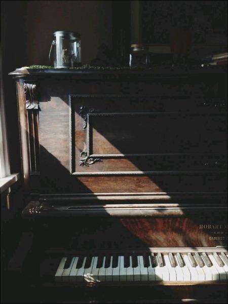 Profesional piano tuning