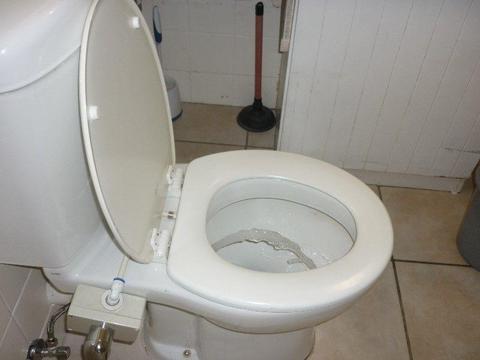 bidet toilet