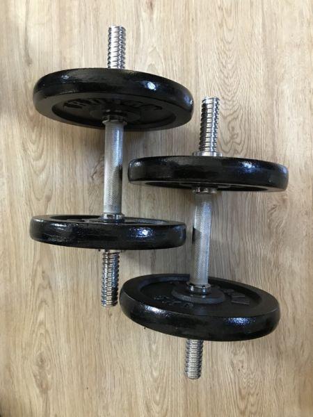 Trojan dumbbells and weights
