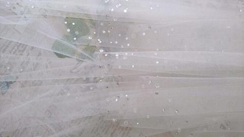 Bride and co veil with diamonds off wite but not cream
