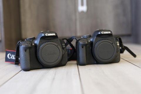 Canon EOS 600D + Canon EOS 550D camera with 2 lenses