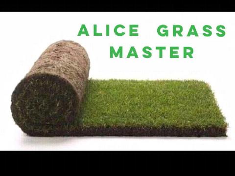 Kikuyu grass call Alice on : 0793200537