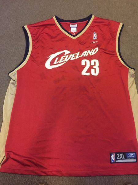 Lebron James 2x and Michael Jordan jersey